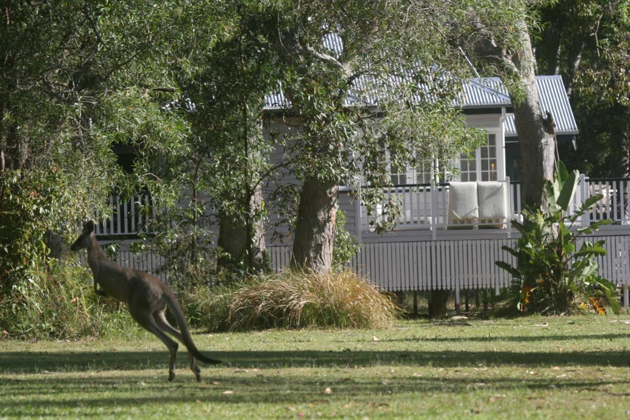 Lake Weyba Noosa Lodge & Kangaroos Peregian Beach Exterior photo