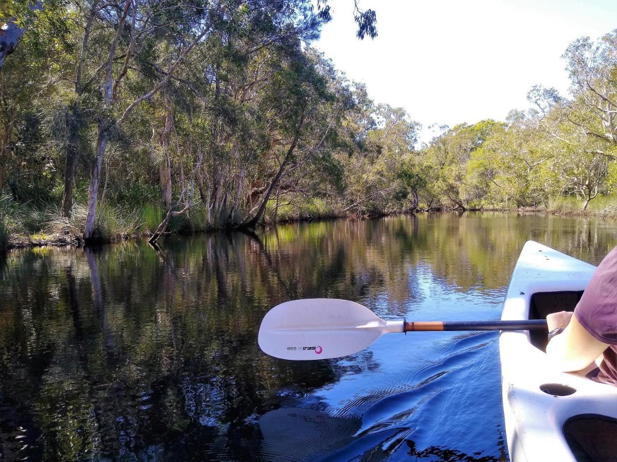 Lake Weyba Noosa Lodge & Kangaroos Peregian Beach Exterior photo