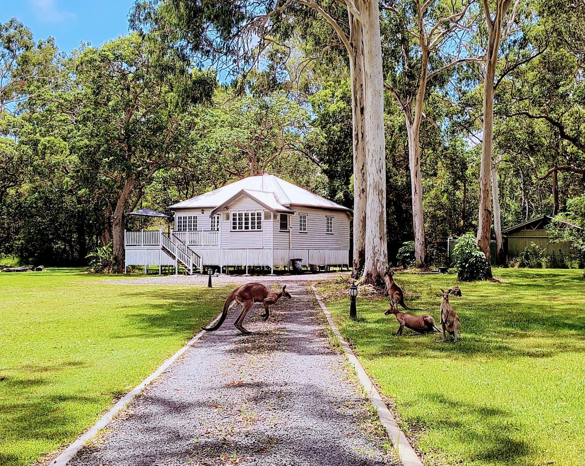 Lake Weyba Noosa Lodge & Kangaroos Peregian Beach Exterior photo